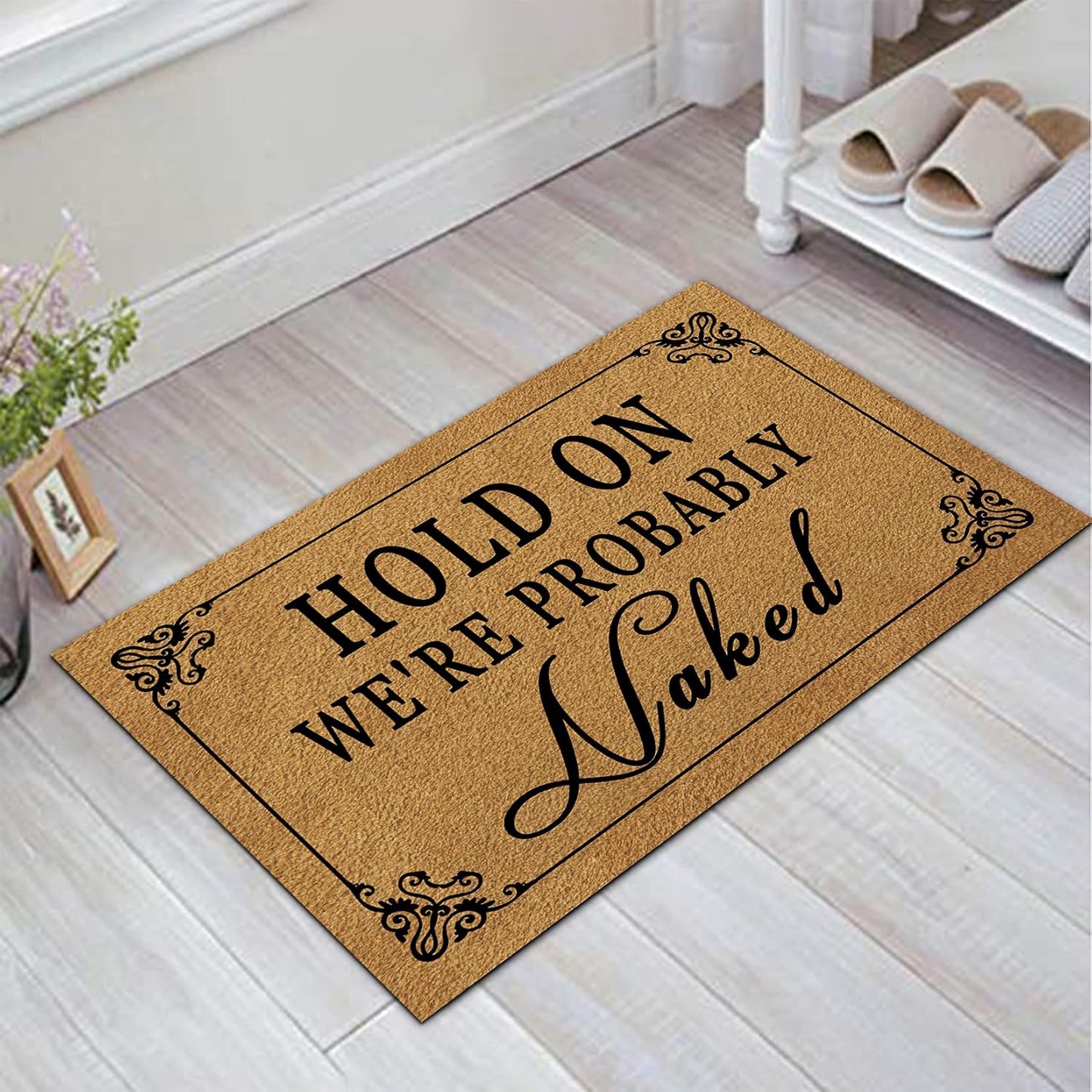 Funny Welcome Door Mats for Home Decor (17.7 X 29.5 Inch) Gift Mats with Anti-Slip Rubber Back Kitchen Rugs Personalized Doormat for Entrance Way (Hold on We'Re Probably Naked)