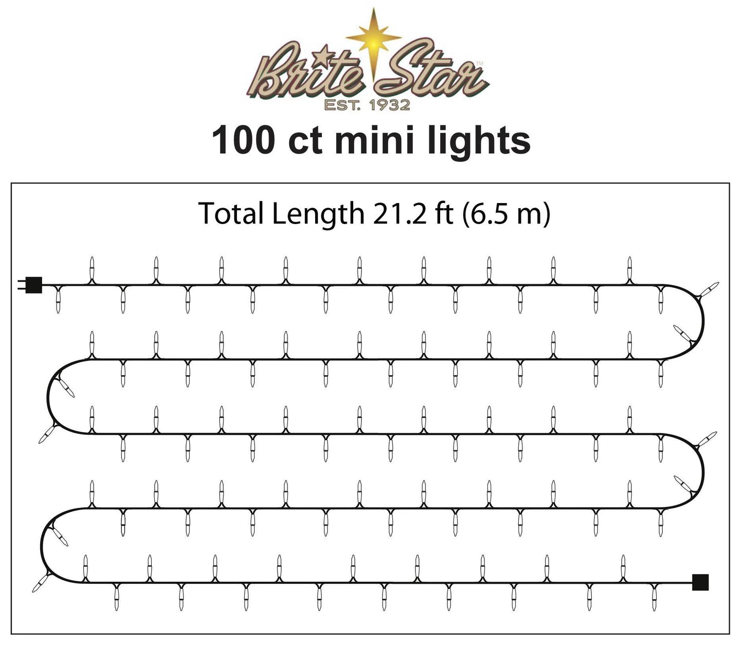 100 Count Mini String Christmas Lights, Clear - 22 Feet Indoor/Outdoor Christmas Tree Lights with Green Wire