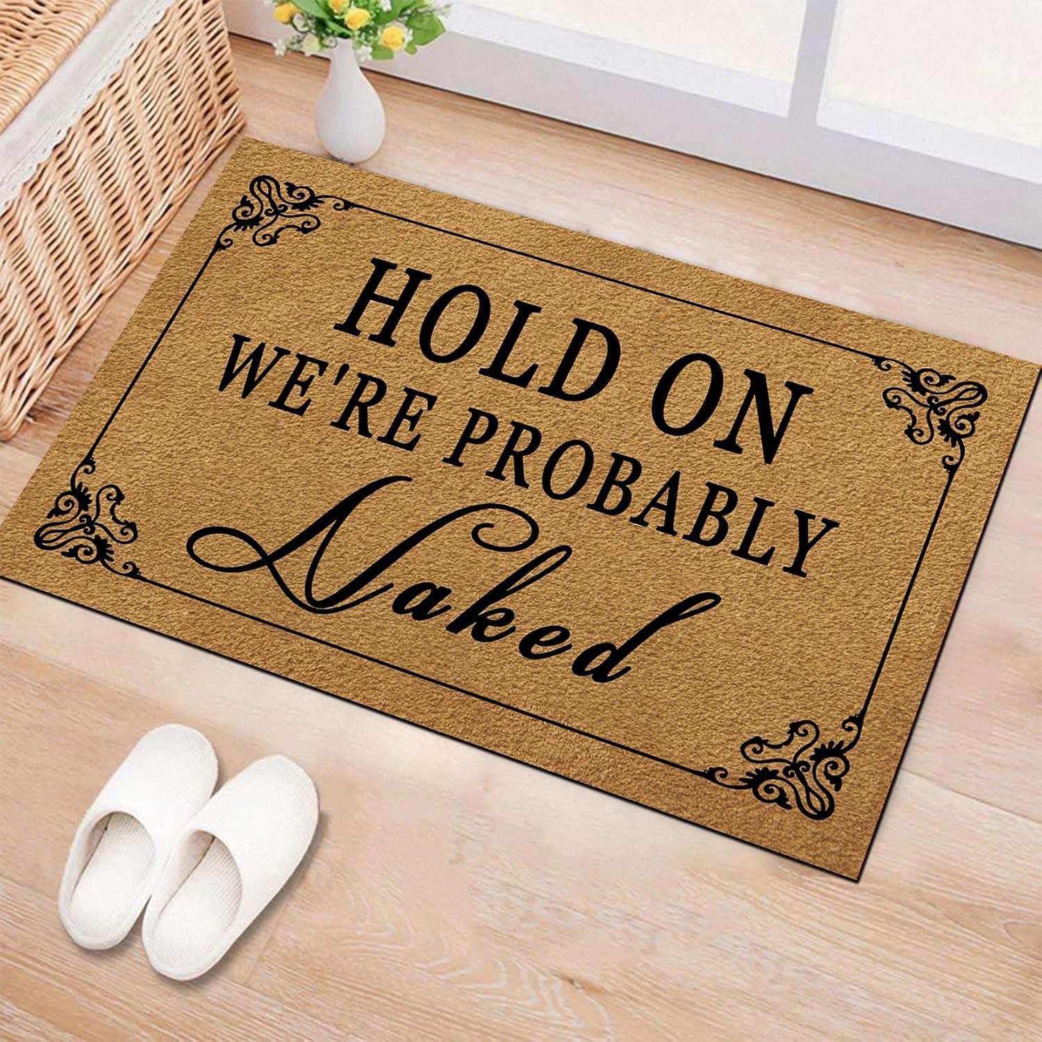 Funny Welcome Door Mats for Home Decor (17.7 X 29.5 Inch) Gift Mats with Anti-Slip Rubber Back Kitchen Rugs Personalized Doormat for Entrance Way (Hold on We'Re Probably Naked)
