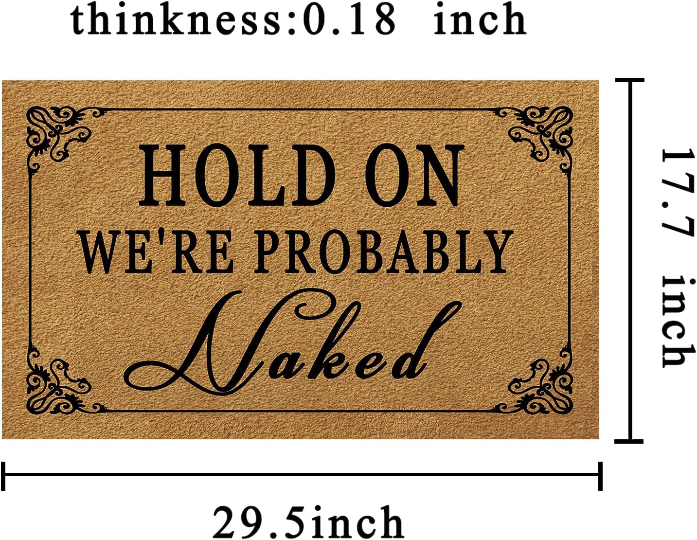 Funny Welcome Door Mats for Home Decor (17.7 X 29.5 Inch) Gift Mats with Anti-Slip Rubber Back Kitchen Rugs Personalized Doormat for Entrance Way (Hold on We'Re Probably Naked)