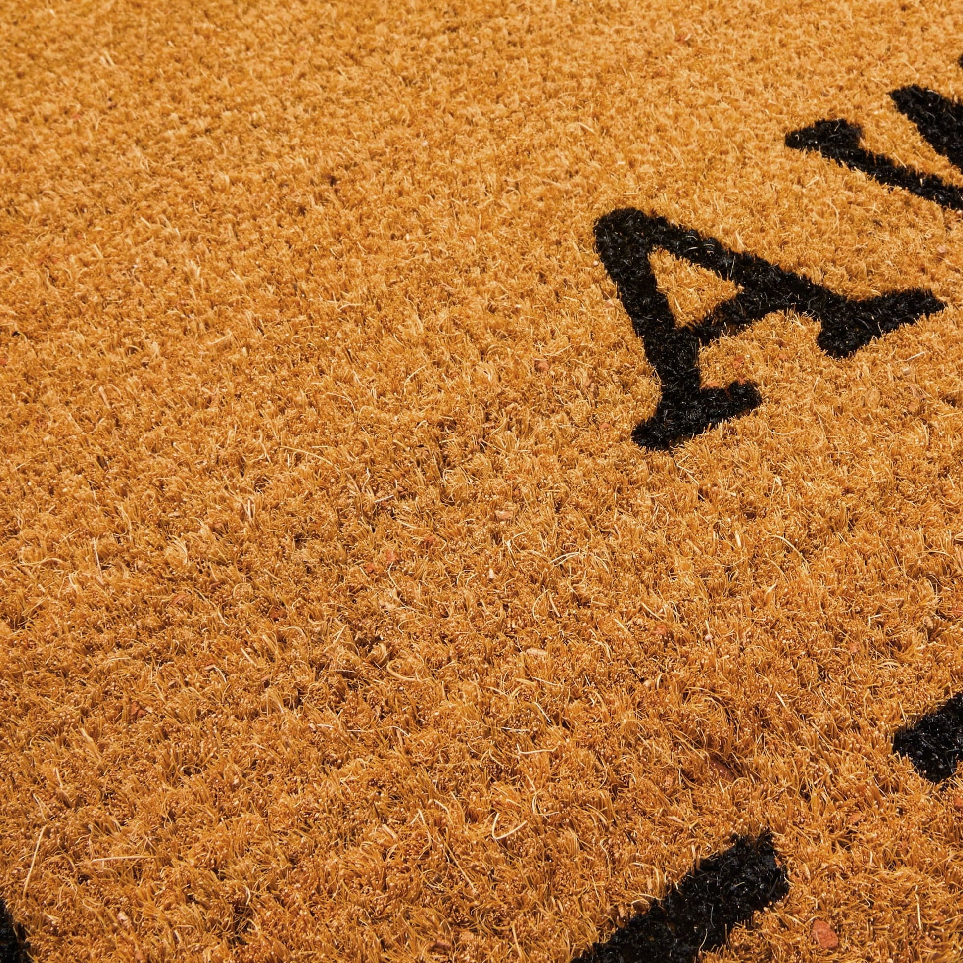 Go Away Doormat, Funny Front Door Welcome Mat for Outdoor Porch or Patio, Natural Coco Coir (17 X 30 In)