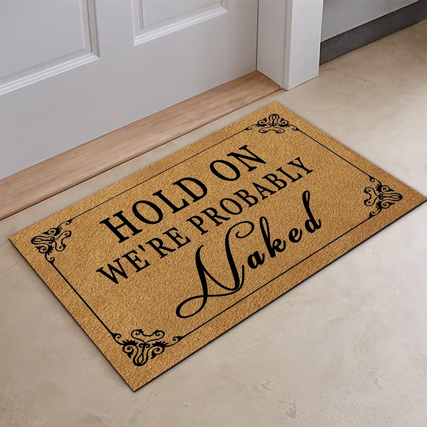 Funny Welcome Door Mats for Home Decor (17.7 X 29.5 Inch) Gift Mats with Anti-Slip Rubber Back Kitchen Rugs Personalized Doormat for Entrance Way (Hold on We'Re Probably Naked)